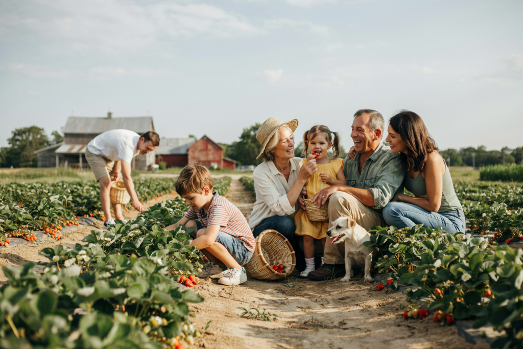 Familie pflückt gemeinsam frische Erdbeeren auf einem Feld und verbringt einen sonnigen Tag in der Natur.